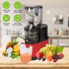 Cold Press Juicer Machine with Reverse Function 2 Containers Cleaning Brush Clear