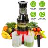 Cold Press Juicer Machine with Reverse Function 2 Containers Cleaning Brush Clear